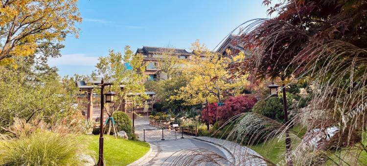 太白山唐镇·诗唐花颂温泉度假酒店图片