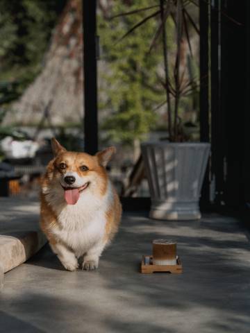 悦里·长城景观民宿(八达岭店)图片