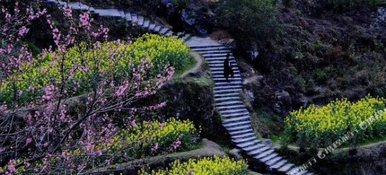 婺源江岭花海梯田客栈(江岭景区店)图片