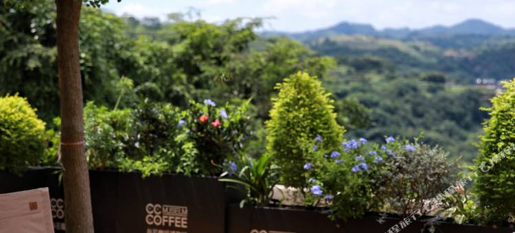 蓝莲花开·咖啡博物馆民宿(下岩贝店)图片