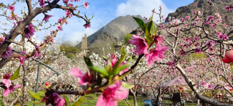 理县果园人家农家乐图片