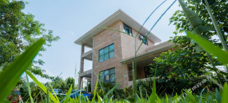 九澍茶空间·民宿图片