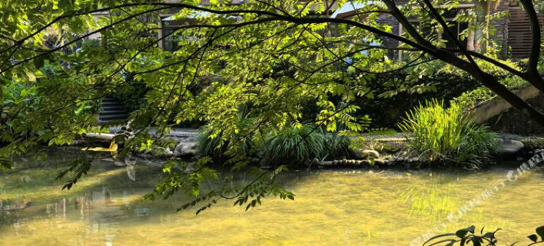 武夷山百岩嵩·度假庄园 Landscapa山水民宿(三姑度假区店)图片