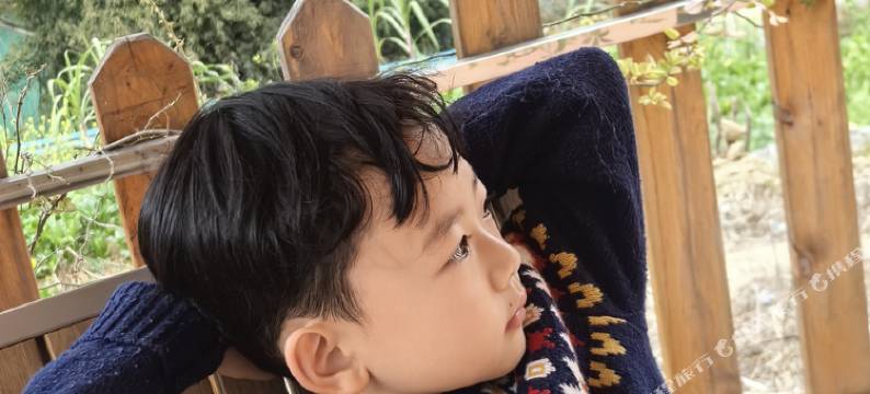 山悦·景景观民宿(罗甸大小井店)图片