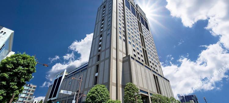 皇家帕恩斯酒店浦和(Royal Pines Hotel Urawa)图片