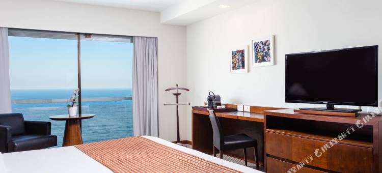 里奥安托宫殿酒店(Rio Othon Palace)图片