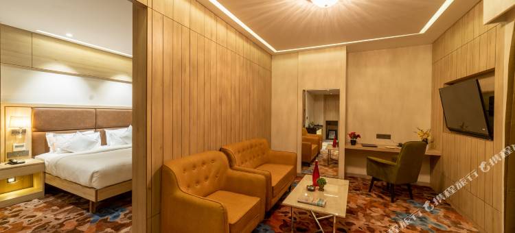 浦那查坎MIDC君主酒店(The Monarch at Chakan Midc, Pune)图片