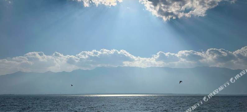 大理玉兰花客栈图片