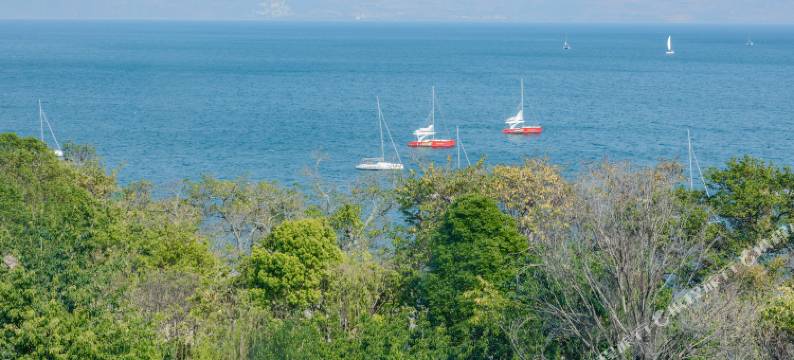 抚仙湖怡云晨海民宿(禄充风景区店)图片