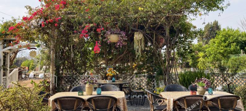 抚仙湖湖影客栈(抚仙湖店)图片