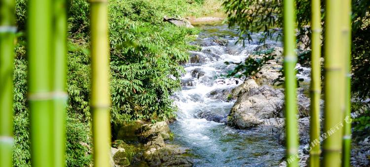 莫干山悠然九希度假村图片