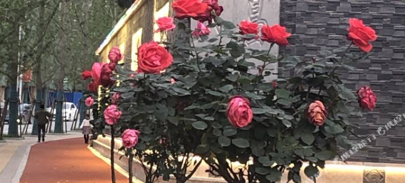 浮梁景城商务宾馆图片