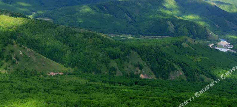 阿尔山林泰民宿图片
