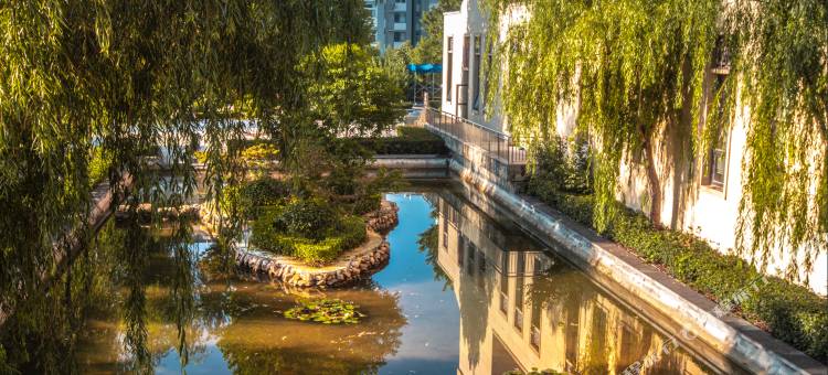 登封中州华鼎饭店图片