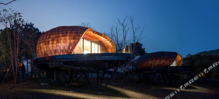 树蛙部落(仙女湖店)图片