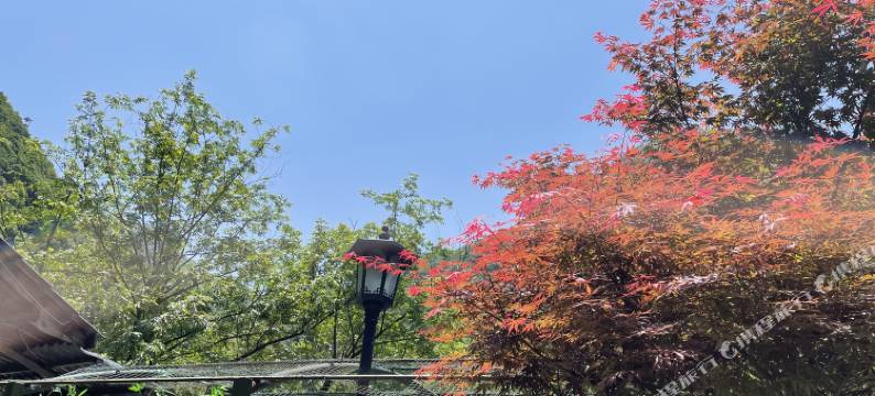 桐庐白云源梅景园民宿图片