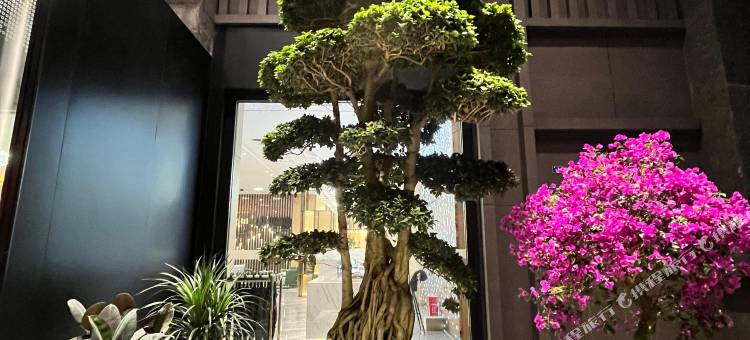 巢壳宝珀酒店(金堂万达广场店)图片