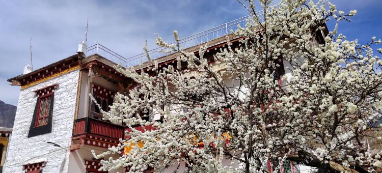 丹巴登巴美宿(中路藏寨店)图片