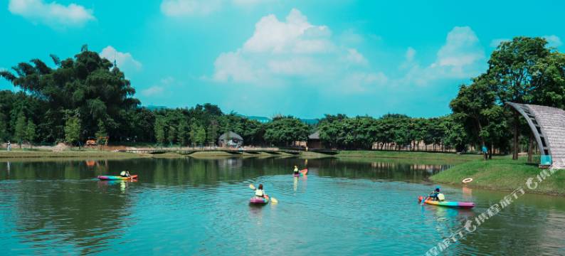 理想东方椰林稻香乡村民宿图片