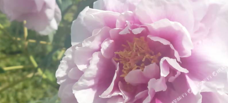 扶风凯悦宾馆图片