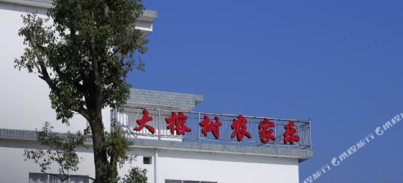 大榕树农家乐图片