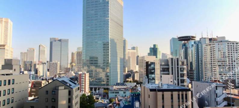 赤坂公寓(Akasaka Residence)图片