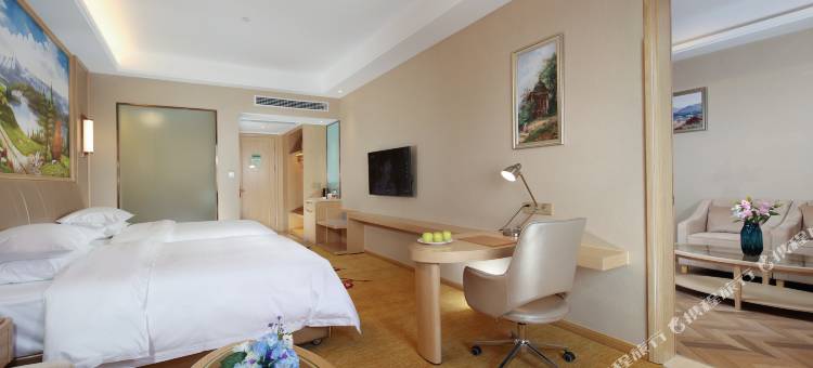 维也纳酒店(武汉二七长江大桥余家头店)图片