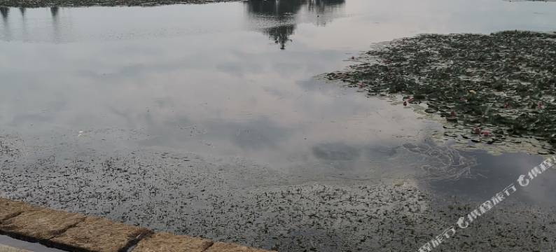 弥勒鸿翔宾馆(红河水乡巨人世纪广场店)图片