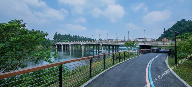 安吉绿竹桃园民宿(竹博园店)图片