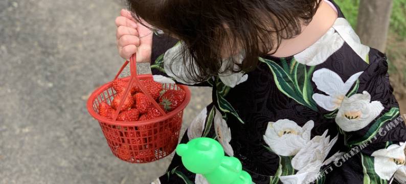 南山竹海·香云小筑图片