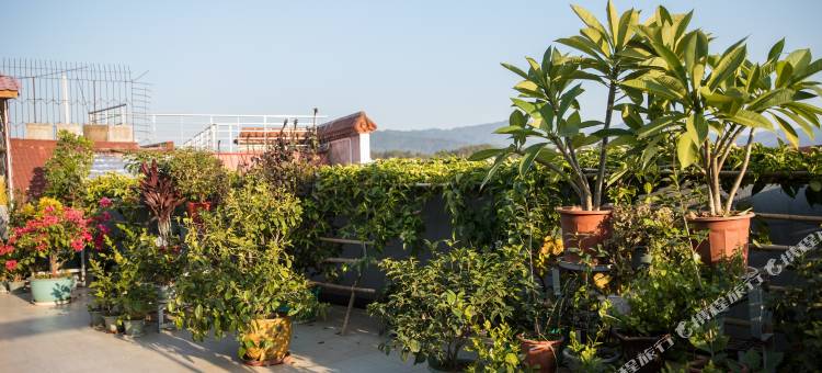 武夷山鑫星酒店(武夷山印象大红袍店)图片