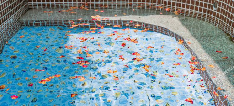 惠东热汤温泉民宿图片