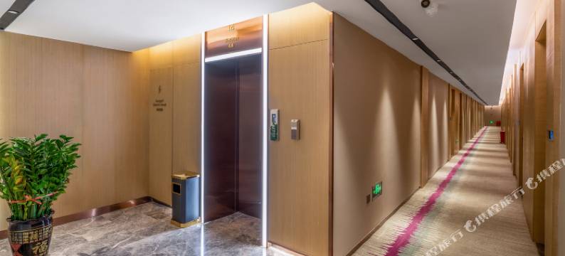 麗枫酒店(深圳龙岗中心城店)图片