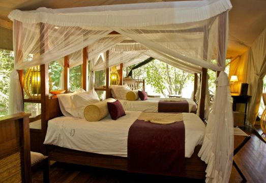 Mara Intrepids Tented Camp Hotel Overview