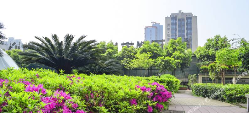 伊凡酒店(重庆南坪步行街上海城店)图片