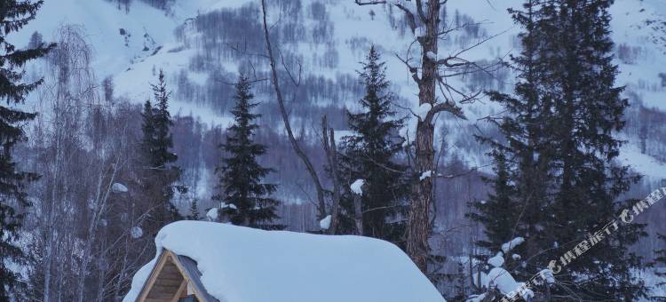 携程度假农庄(新疆禾木西融联营店)图片