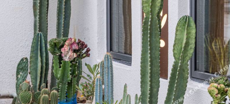 抚仙湖逅海民宿图片