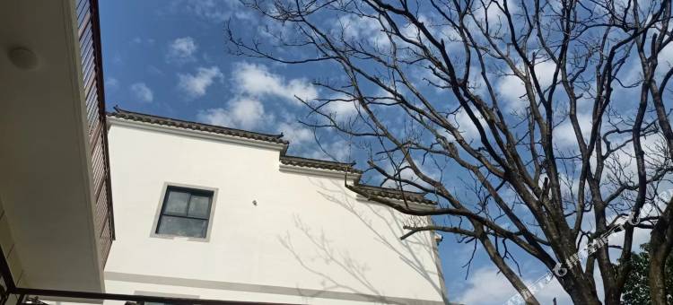 徽家民宿馆图片