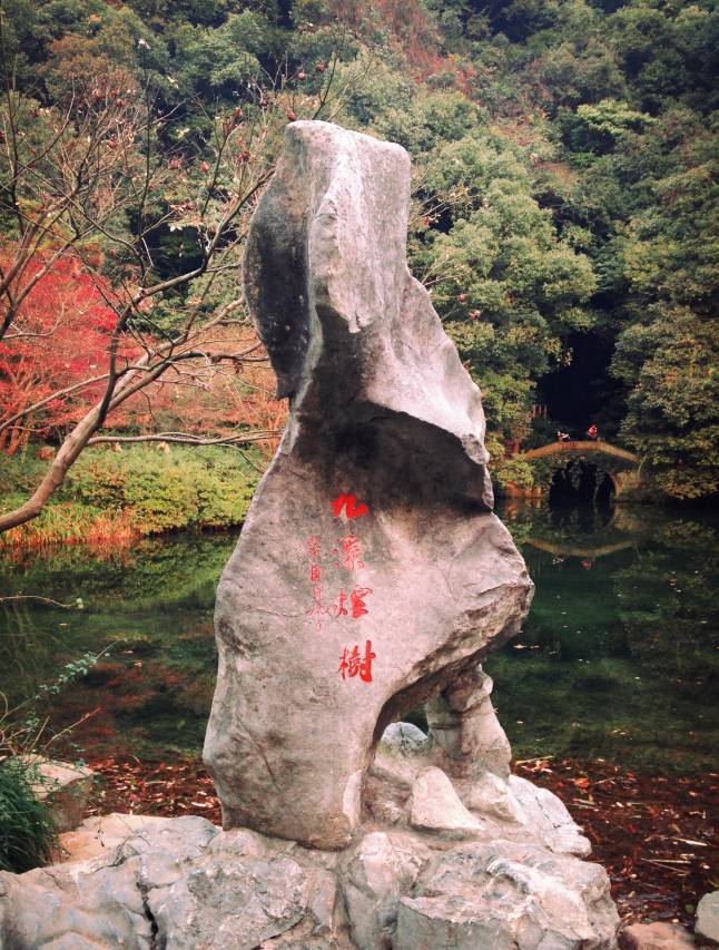 杭州千禧度假酒店图片