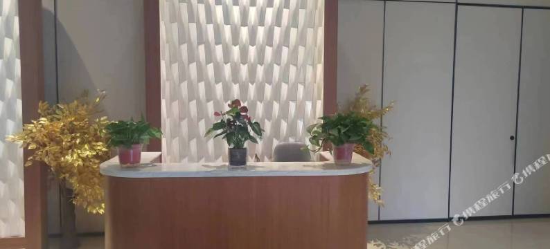 普兰尼·H水晶公寓(曲江汉华城店)图片