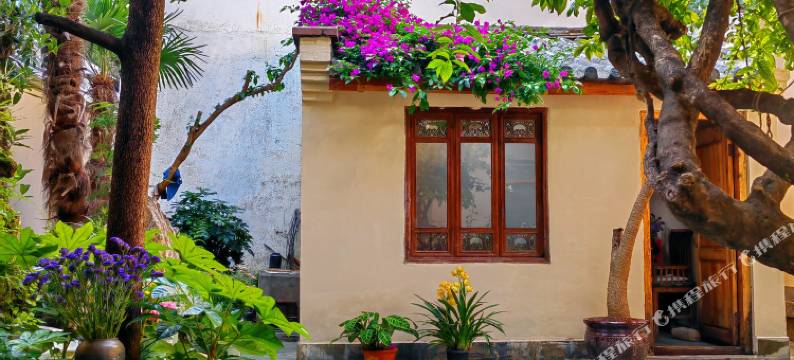 大理古城柿子树小院图片