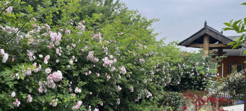 溧水区梅花山民宿图片