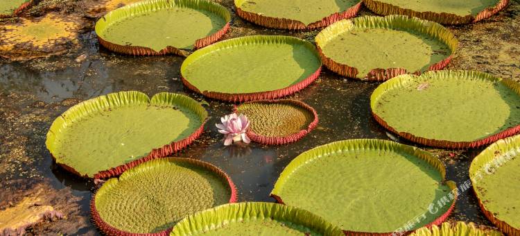 民宿短租(BaanRaiKhunYa)图片