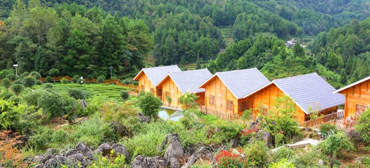 茶寿山康养酒店图片