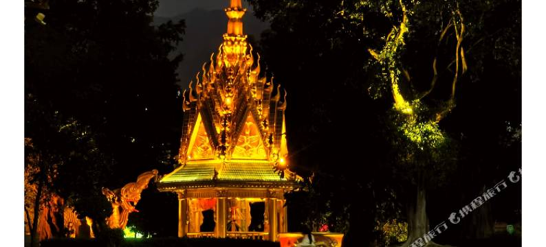 芒市丽豪大酒店(芒市机场小金塔店)图片