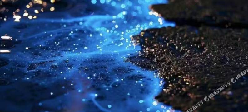 平潭山楂树之恋客栈(龙王头沙滩店)图片