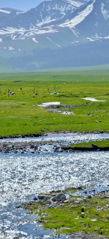 又见驼铃驿站(那拉提草原店)