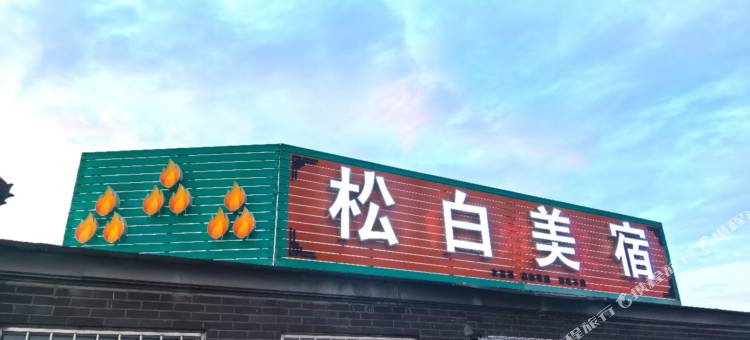 塞罕坝松白美宿图片