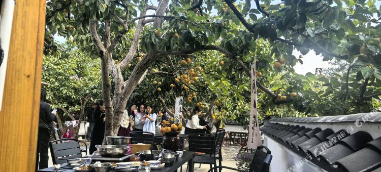 恭城金柿园民宿图片
