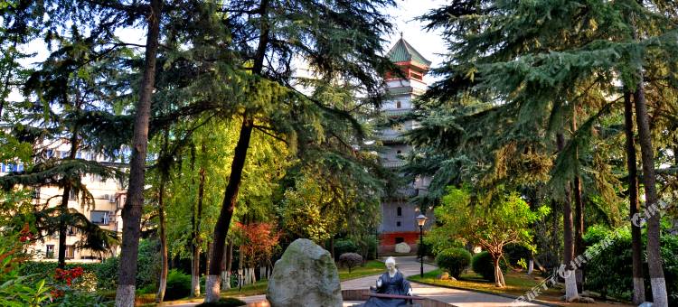 成都新华宾馆图片